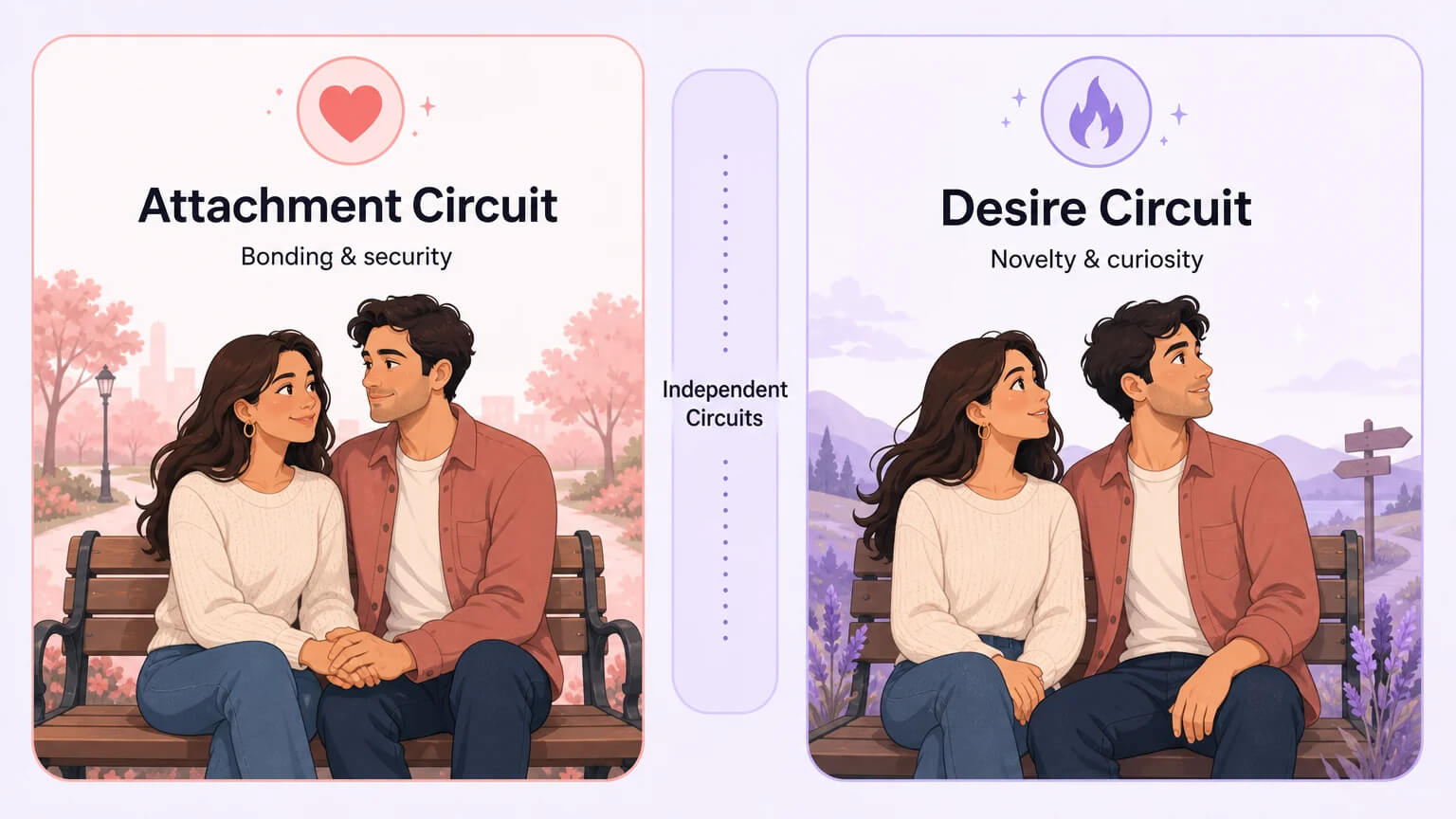 Brain dual circuits diagram - attachment and desire operate independently