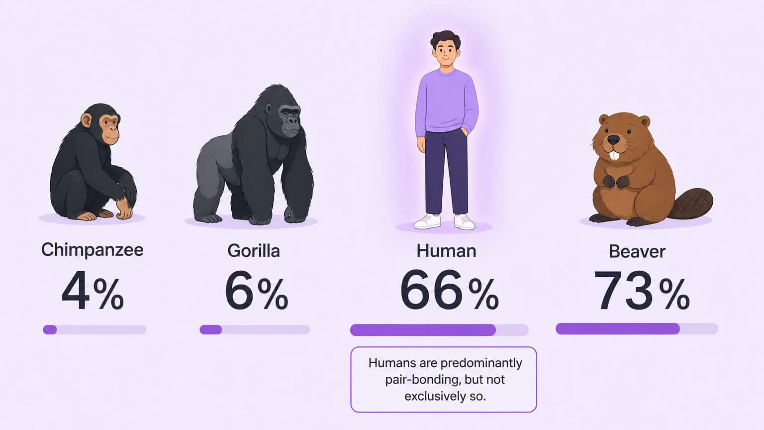 A horizontal bar chart comparing monogamy rates across species: Chimpanzee 4%, Mountain Gorilla 6%, Human 66%, Beaver 73%. A human silhouette glows with a soft purple highlight at the center