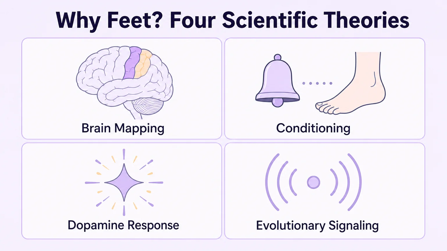 Four scientific theories behind foot fetishes: brain mapping, conditioning, dopamine response, and evolutionary signaling
