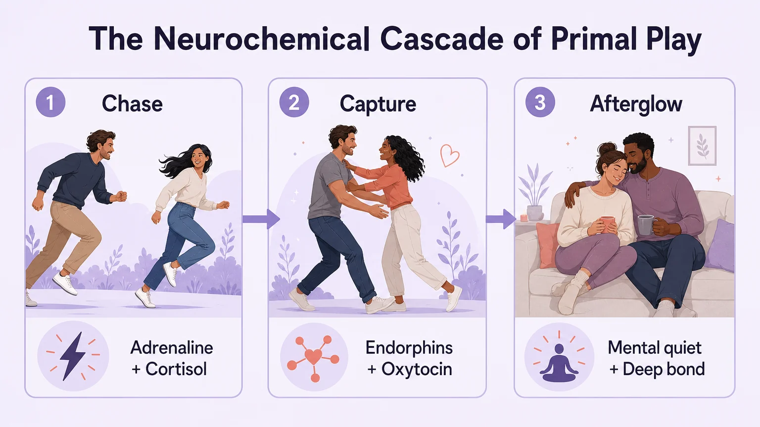 The neurochemical cascade of primal play: Chase releases adrenaline and cortisol, Capture triggers endorphins and oxytocin, Afterglow brings mental quiet and deep bonding