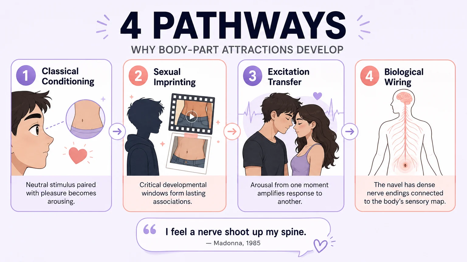 Psychology: Four pathways of fetish development