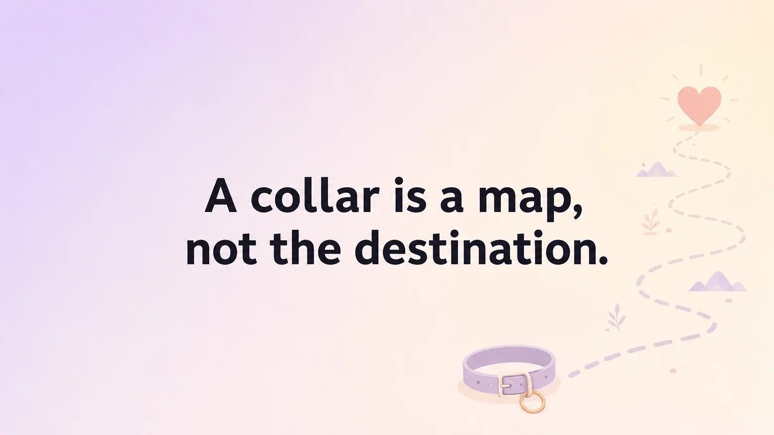 Pull quote: A collar is a map, not the destination