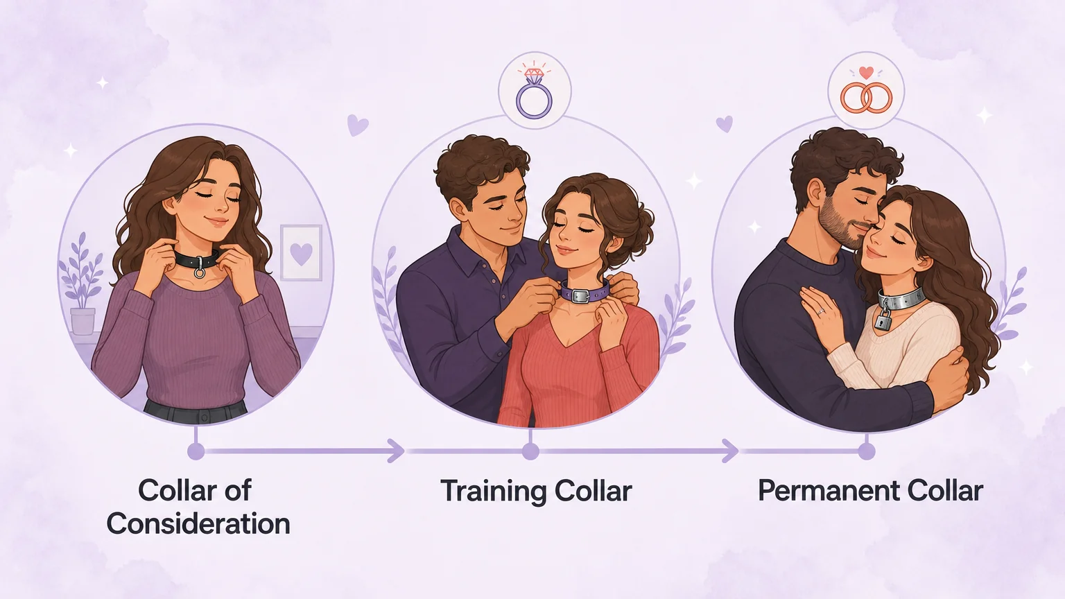 The three collaring stages: collar of consideration, training collar, and permanent collar