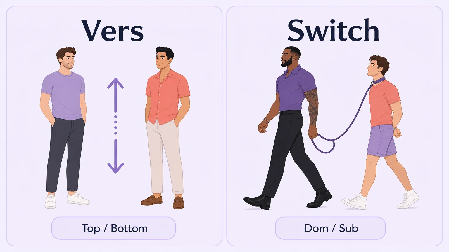 Vers versus switch comparison: physical role versus power