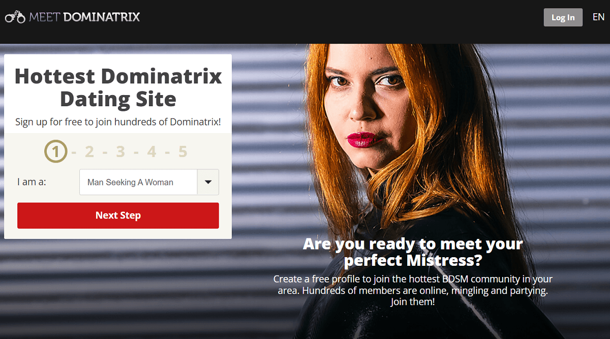 Meet Dominatrix