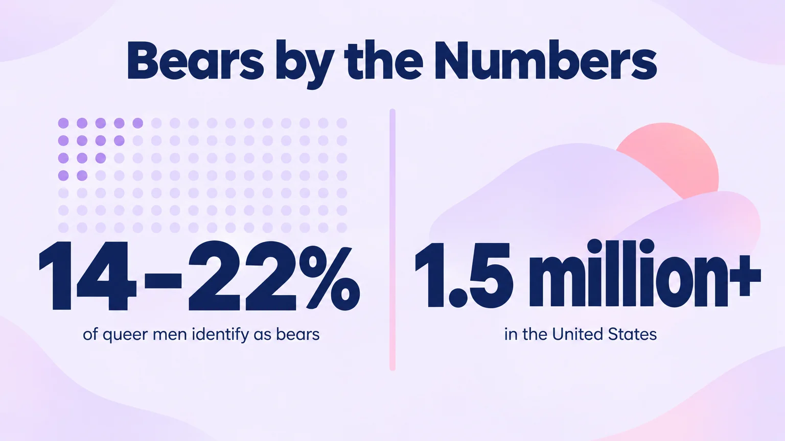 Statistics graphic showing 14 to 22 percent of queer men identify as bears and more than 1.5 million in the United States