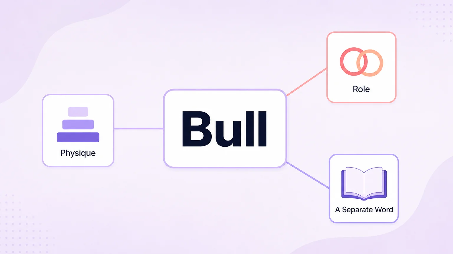 Diagram: the word Bull branching into three meanings, Physique, Role and A Separate Word