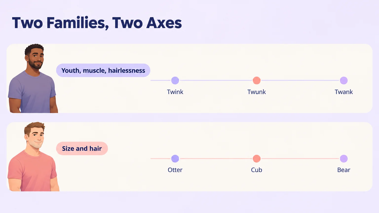 Diagram of two body-type families on separate axes: twink, twunk and twank organized by youth and muscle, otter, cub and bear by size and hair