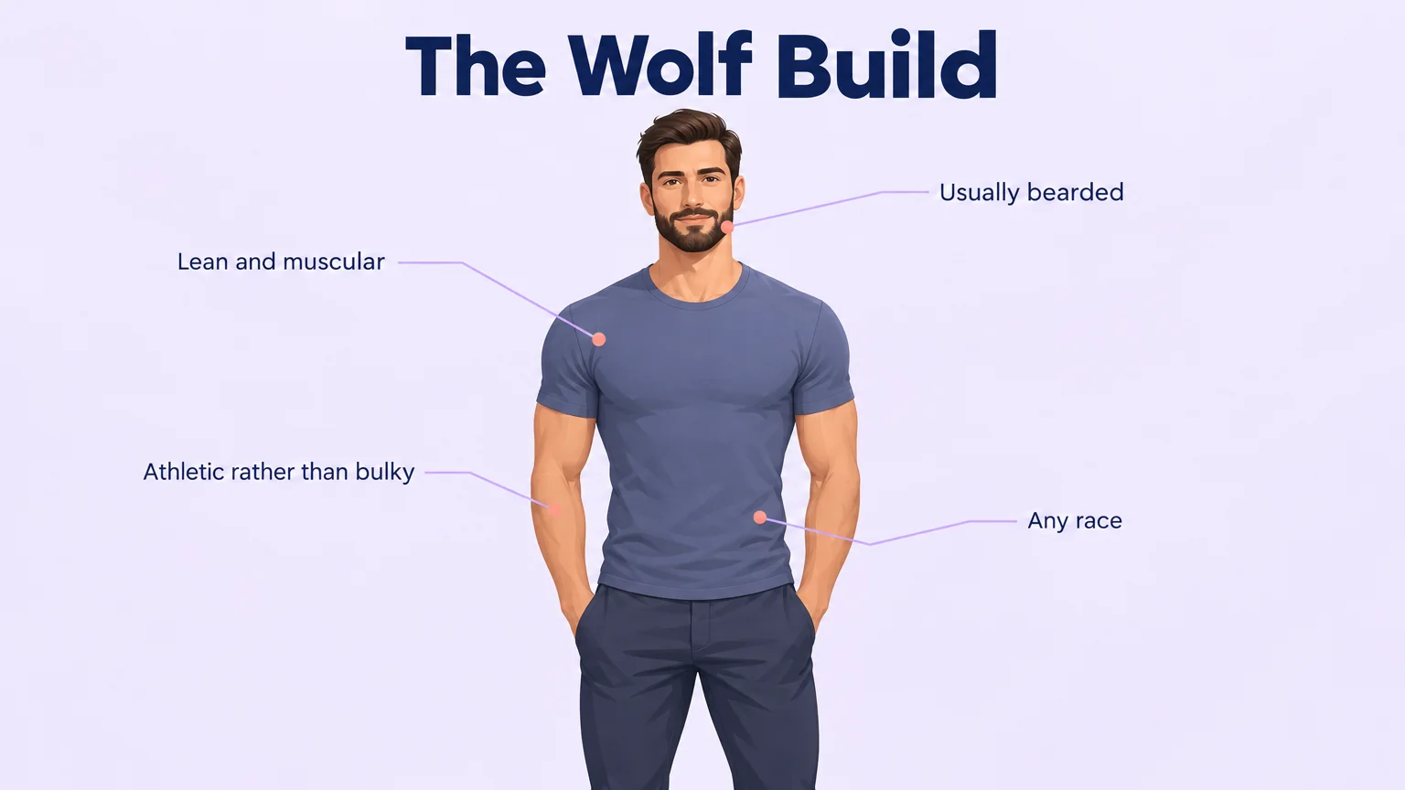 Diagram labelling the wolf build as lean and muscular, athletic rather than bulky, usually bearded, and any race